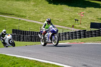 cadwell-no-limits-trackday;cadwell-park;cadwell-park-photographs;cadwell-trackday-photographs;enduro-digital-images;event-digital-images;eventdigitalimages;no-limits-trackdays;peter-wileman-photography;racing-digital-images;trackday-digital-images;trackday-photos